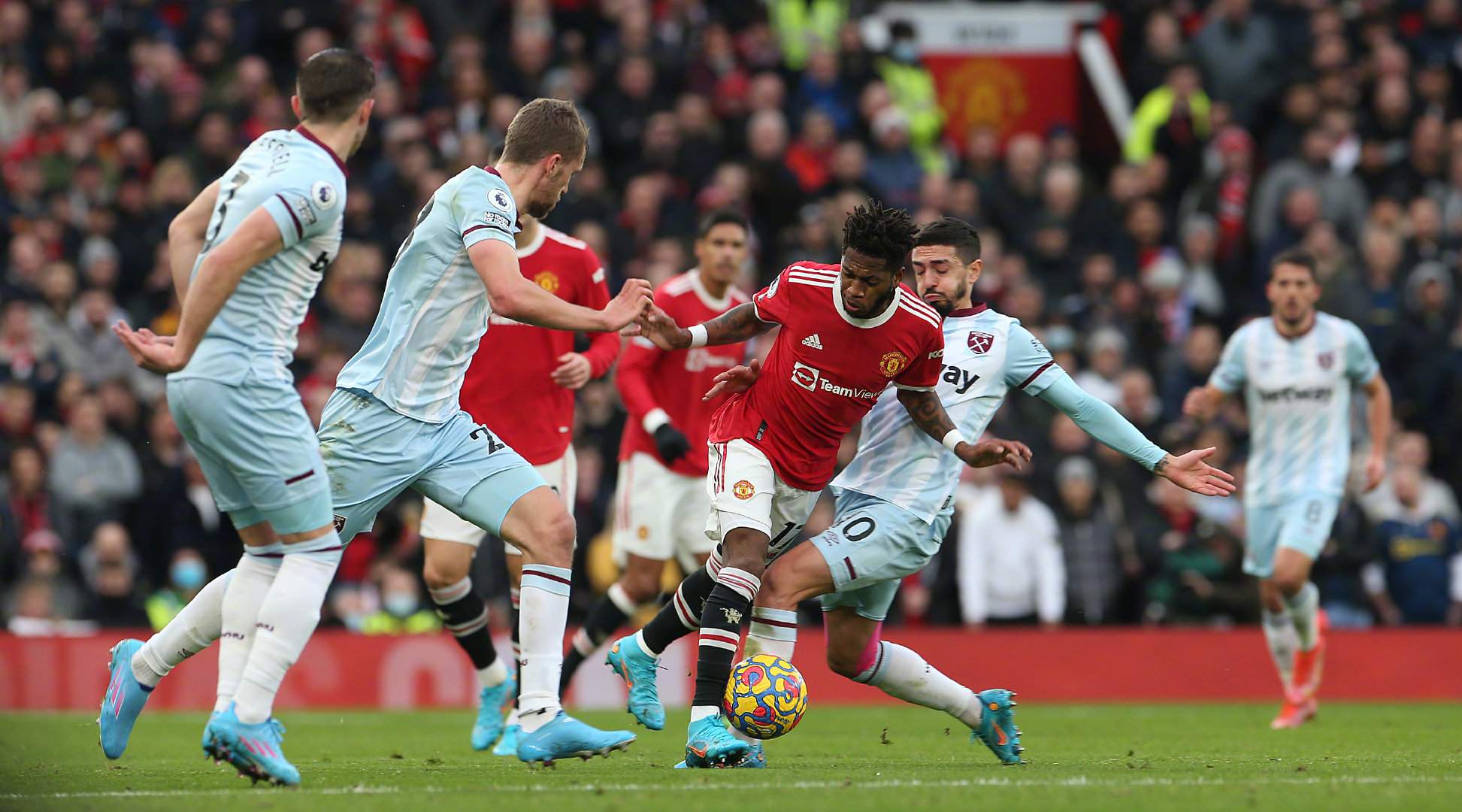 带来新鲜的 带来新鲜的